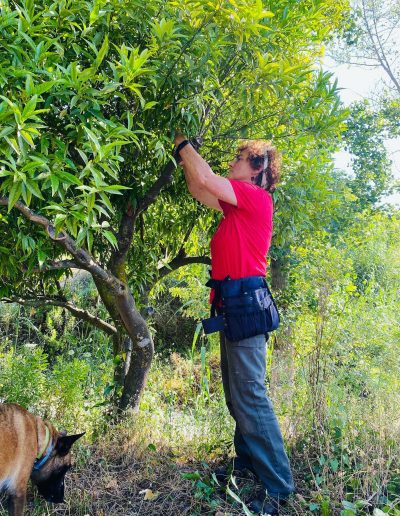 LAHUERTADELLUGAHUERTAECOLOGICA4